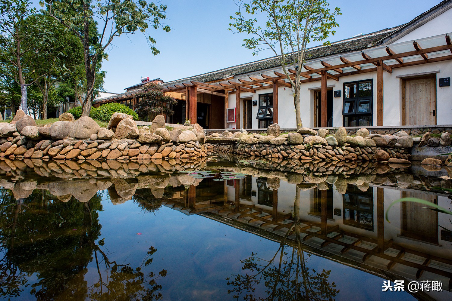 松阳，会是下一个理想国么？