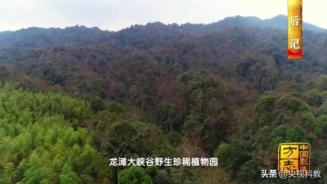 影像方志天峻,中国影像方志四川大竹篇