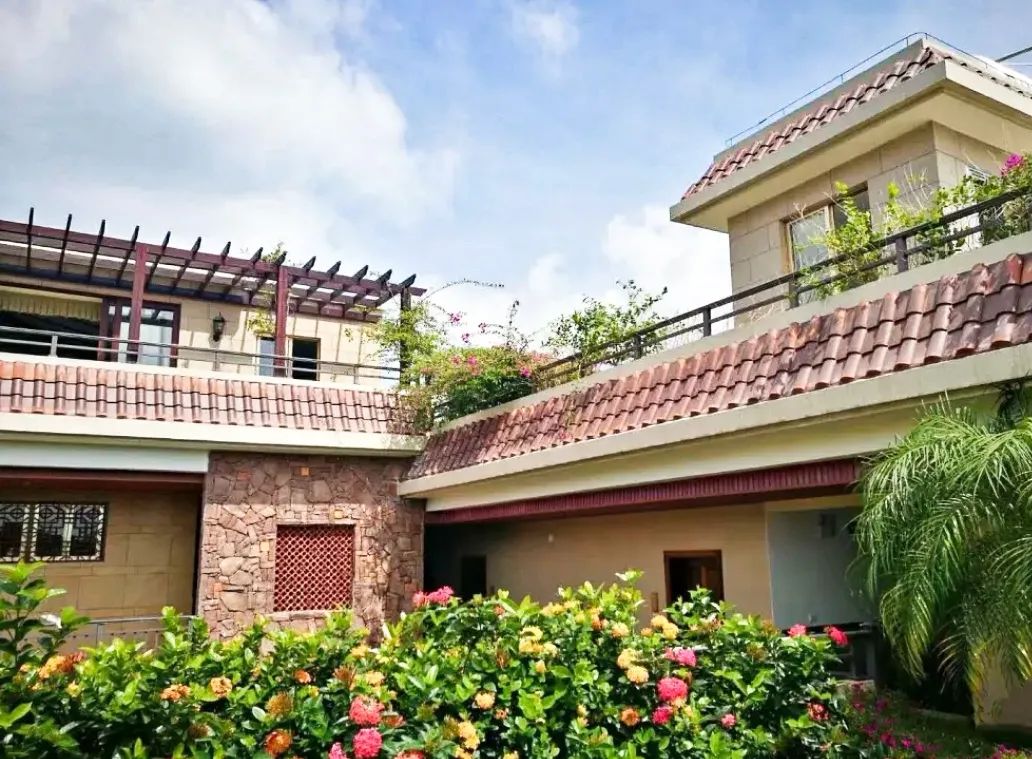 美美美!海南这几家新增的“金宿级”民宿,你想要的诗和远方都有