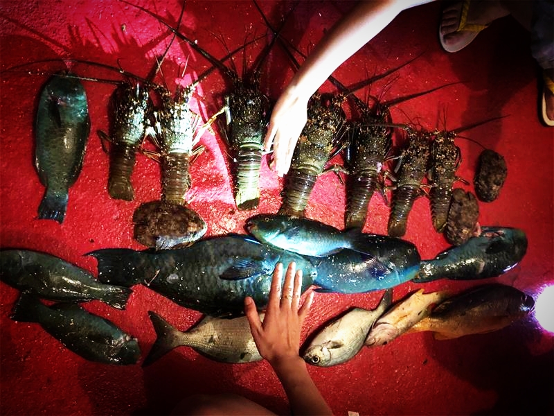 十年前,我只带了一根鱼竿出门,吃遍了世界上的各种顶级海鲜