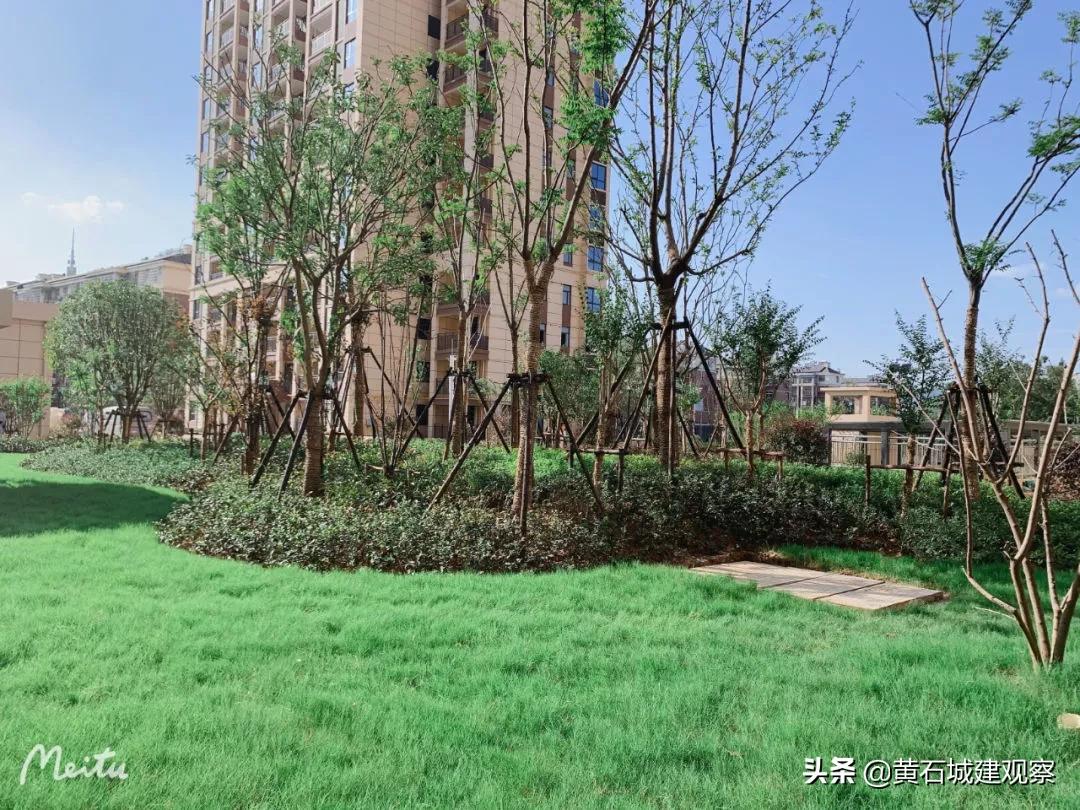 黄石最大的安置房项目众邦百花园绿化工程已基本完成