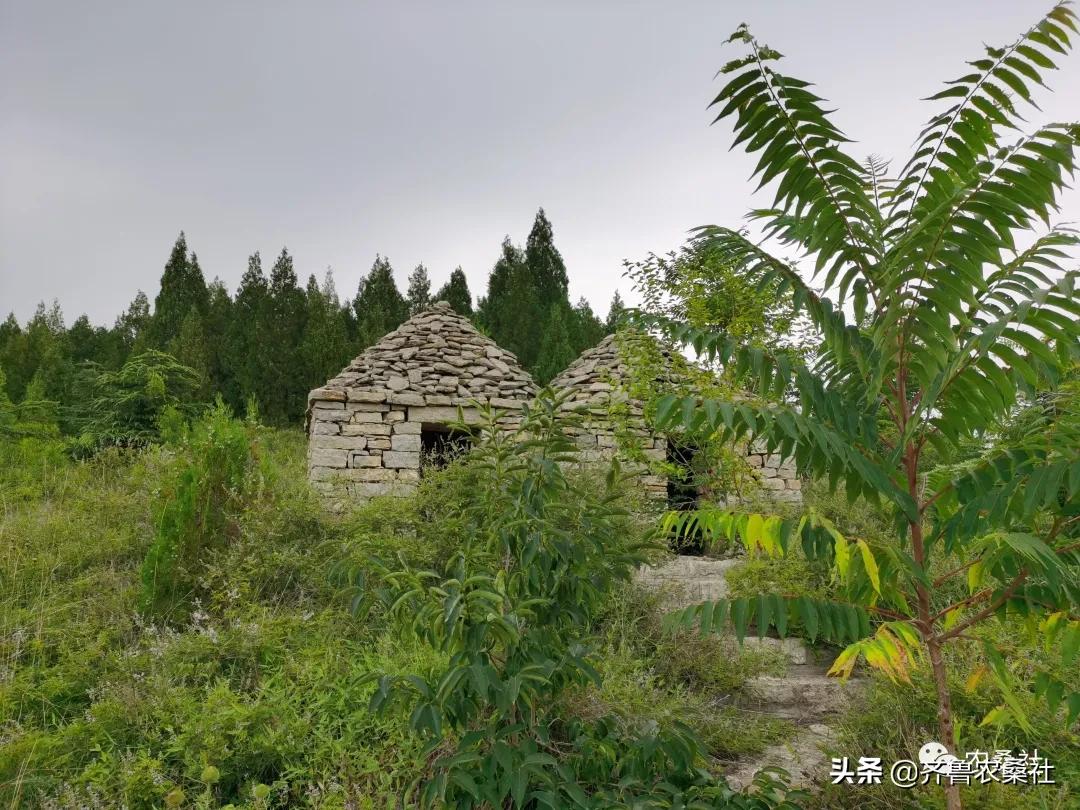 青州民宿桐峪里价格,青州桐峪里民宿有树屋吗