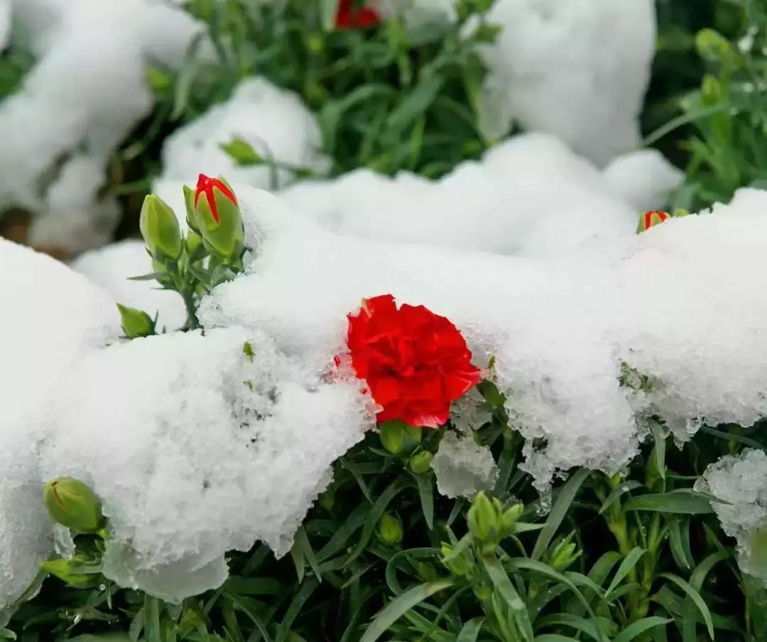 北风那个吹白毛女原唱,北风那个吹电视剧全集