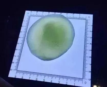 喜家德水饺在东北很有名吗,喜家德现包水饺