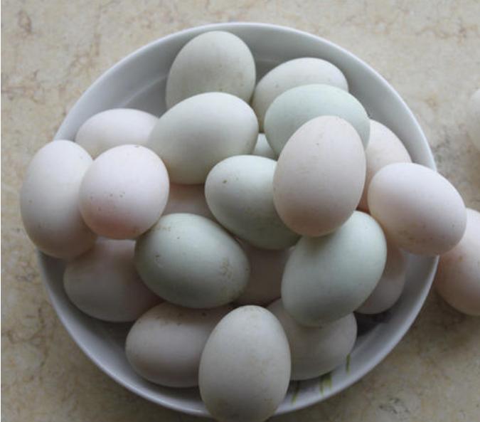 鸡蛋和鸭蛋都检出违禁兽药,这些鸡蛋被查出含禁用兽药