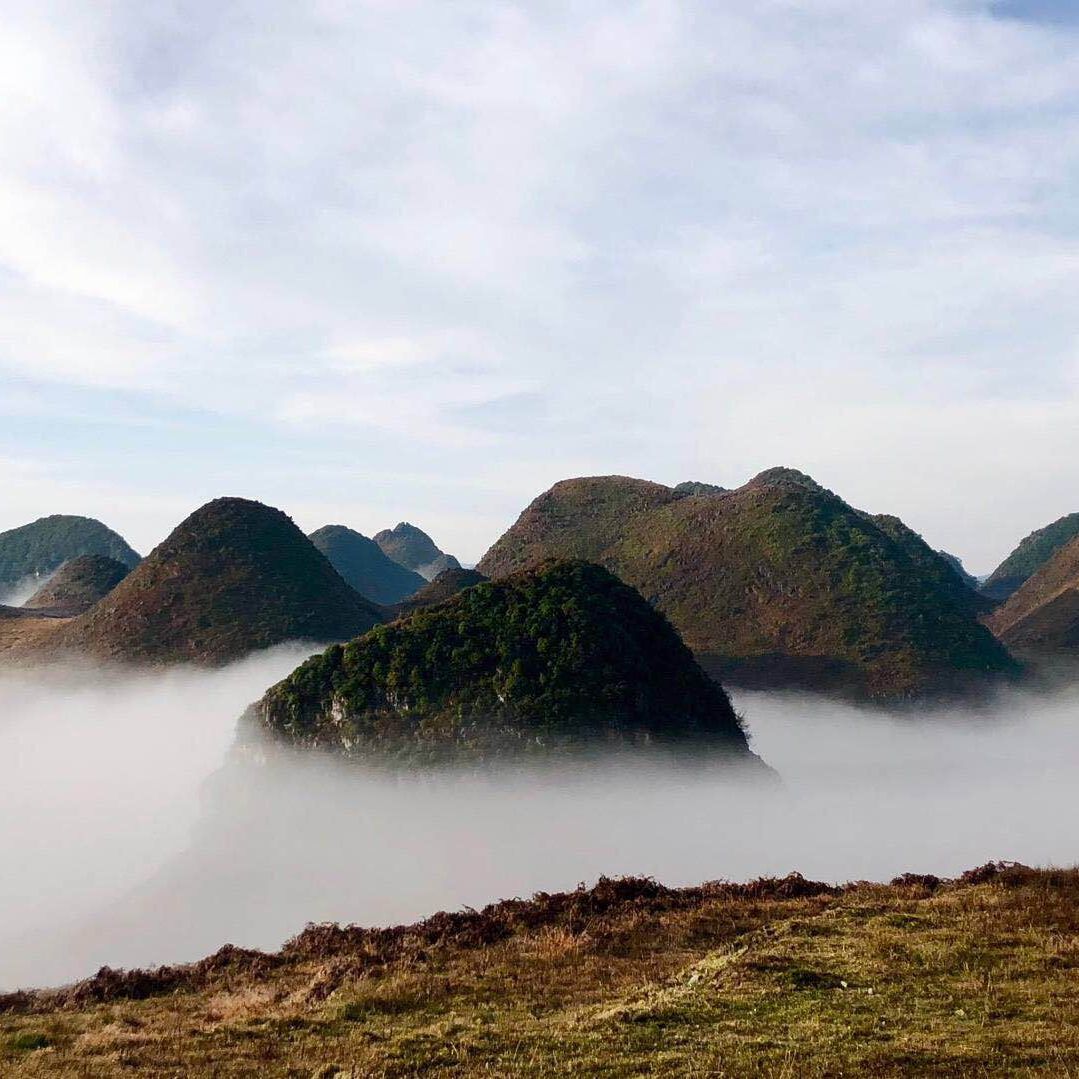 意境最深最美的诗句,最美的诗句语录