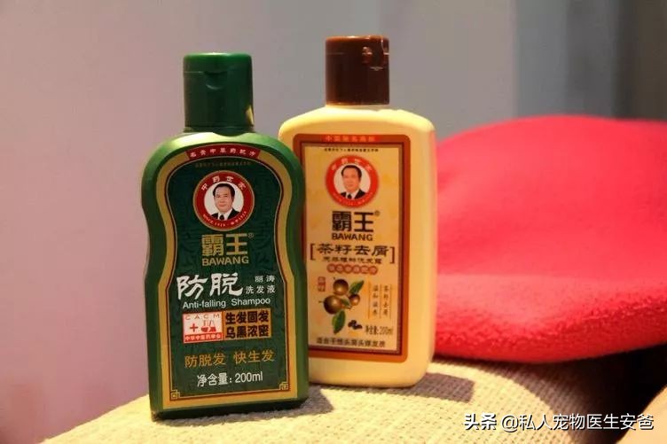 我们经常使用的护肤品，对猫咪有害吗？