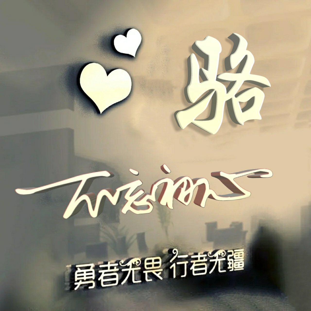 勇者无畏励志姓氏头像王,行者无疆勇者无畏智者无惧