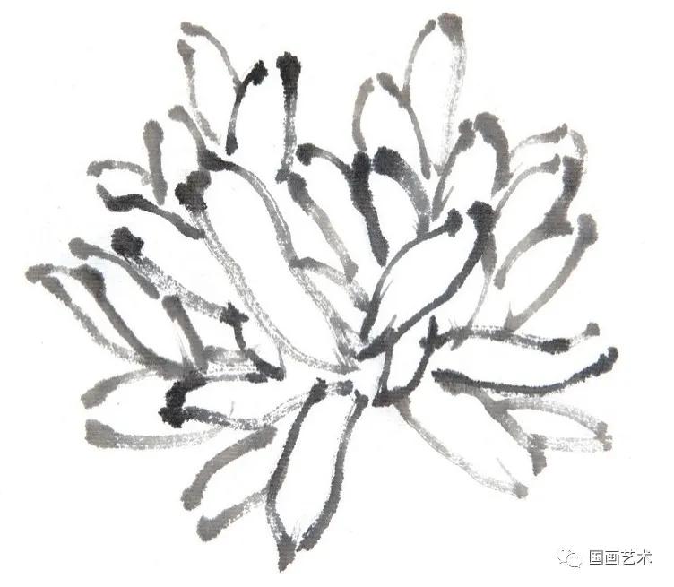 国画写意菊花龙爪菊,写意菊花画法教程简单
