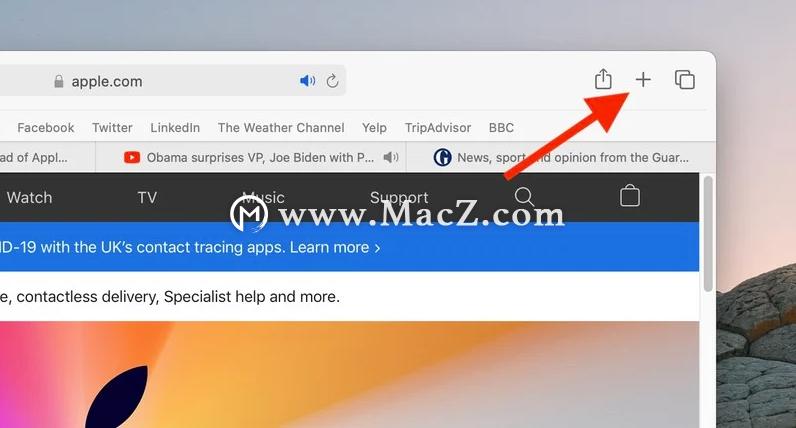 macosbigsur正式版,苹果macosbigsur