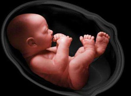 怀孕36周有少量液体流出是羊水吗,胎儿的尿液为什么叫羊水