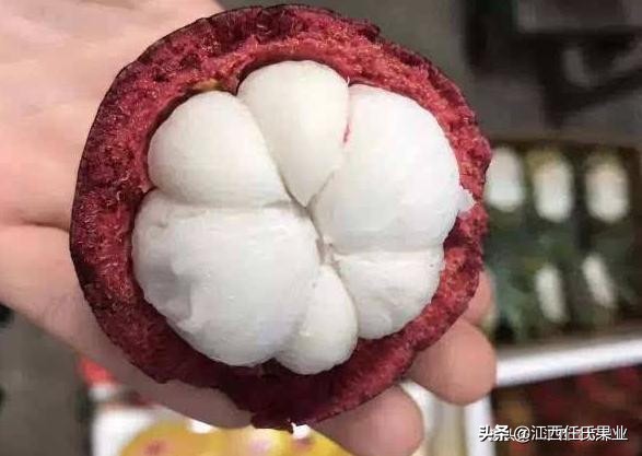 山竹选购秘籍挑选一颗完美的山竹,山竹怎么挑更甜一挑一个准