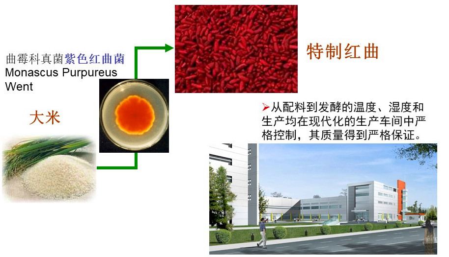 红曲中提取的“血脂康”降胆固醇,吃点儿天然红曲行不行?