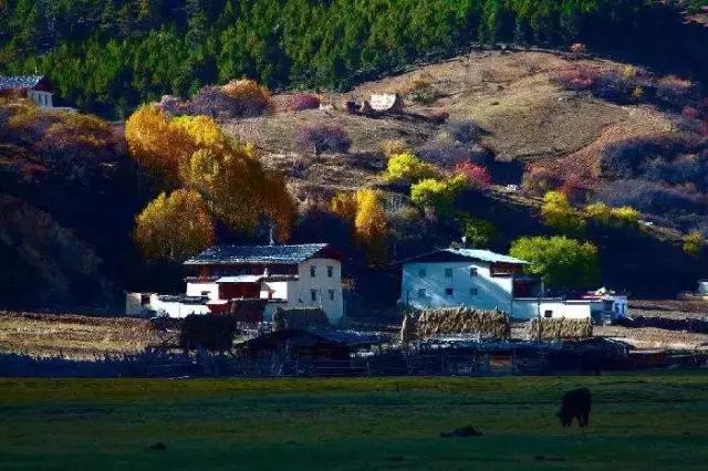 国内野奢酒店民宿排名榜,国内30家顶级野奢酒店