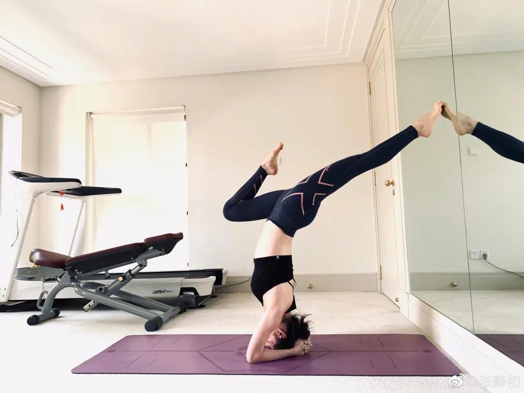 消失6年后,张静初单身生活首曝光!独居大House,与满屋破烂作伴