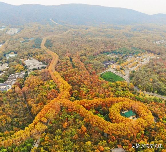 中国最美高铁线路沿途风景,中国最美高铁旅游线路