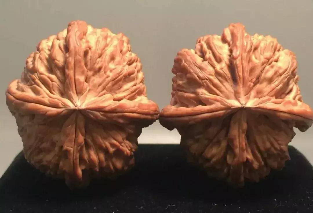 什么样的核桃漂亮,什么样的核桃不苦涩