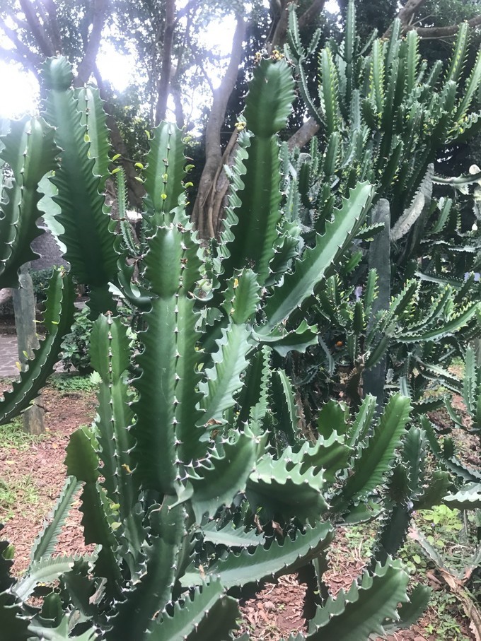 海口约会一日游,海口夜晚适合约会浪漫的地方