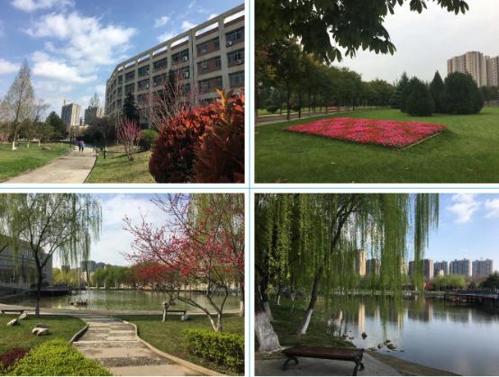 颜值爆表!28万平绿地,55%绿化率,来看西安这所园林式高校