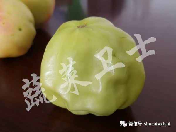 番茄果实畸形,西红柿花叶病毒对果实影响