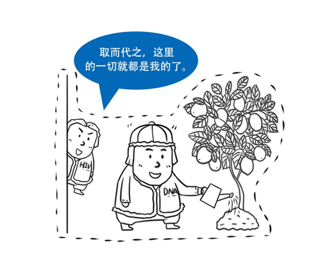 艾滋病毒入侵全过程传染途径,艾滋病病毒全部侵入人体的过程