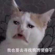 你遇到过哪些恶心到爆的同学,高中时期你遇到过哪些恶心的同学