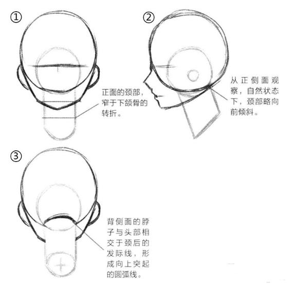 零基础漫画侧脸教程,初学漫画头入门零基础
