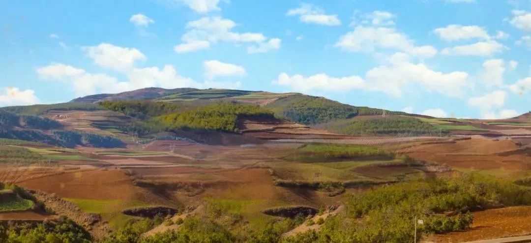 人民大会堂推销土豆,收1500个农民学生,10亿专利无偿送出,64岁的农民院士朱有勇火了!