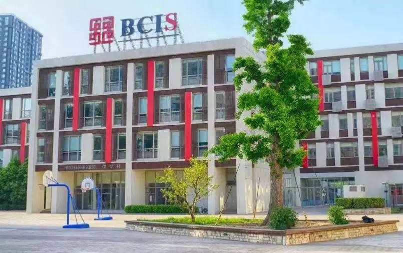 双井，你凭什么可以对标全世界？