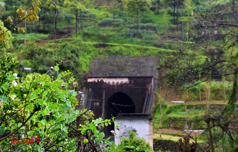 贵州黔东南镇远古镇旅游攻略,黔东南镇远古城一日游