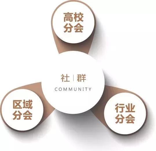 上市董事会秘书,董事会秘书与下属企业沟通