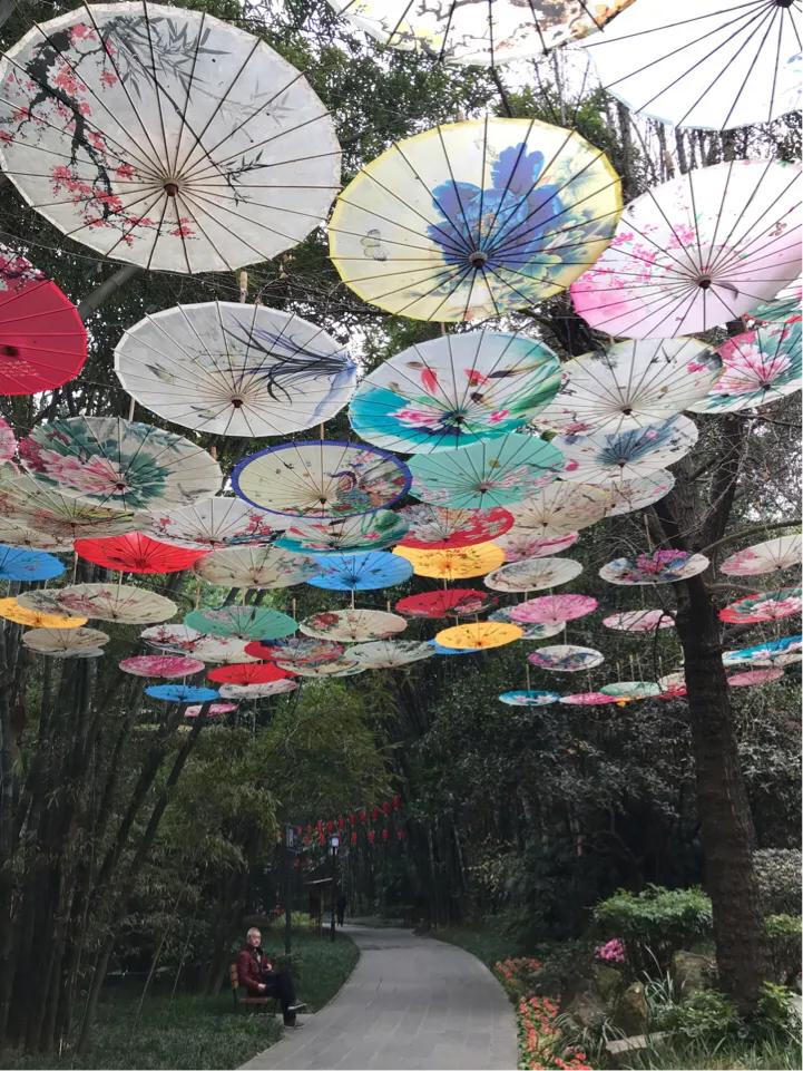 成都望江楼公园简介,成都望江楼公园要门票吗