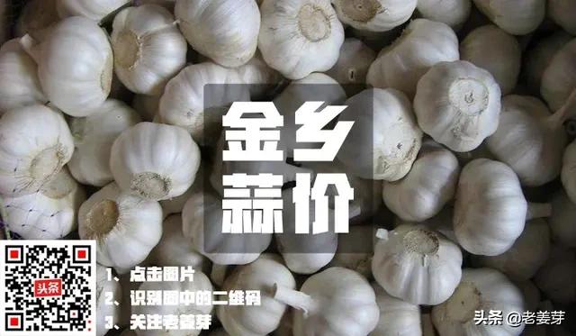 2020年4月22日全国各产区大蒜行情概述