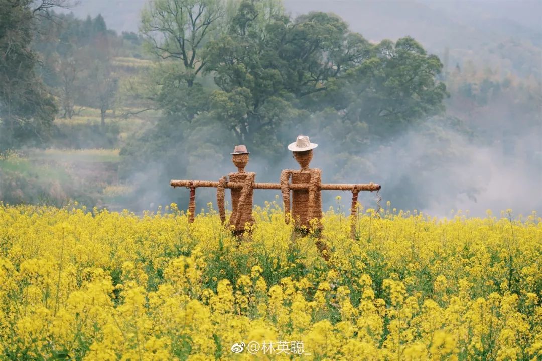 婺源油菜花一日游旅游攻略,婺源油菜花旅游攻略
