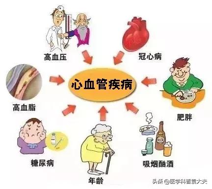 心血管健康您应知道的,心脑血管预防知识图