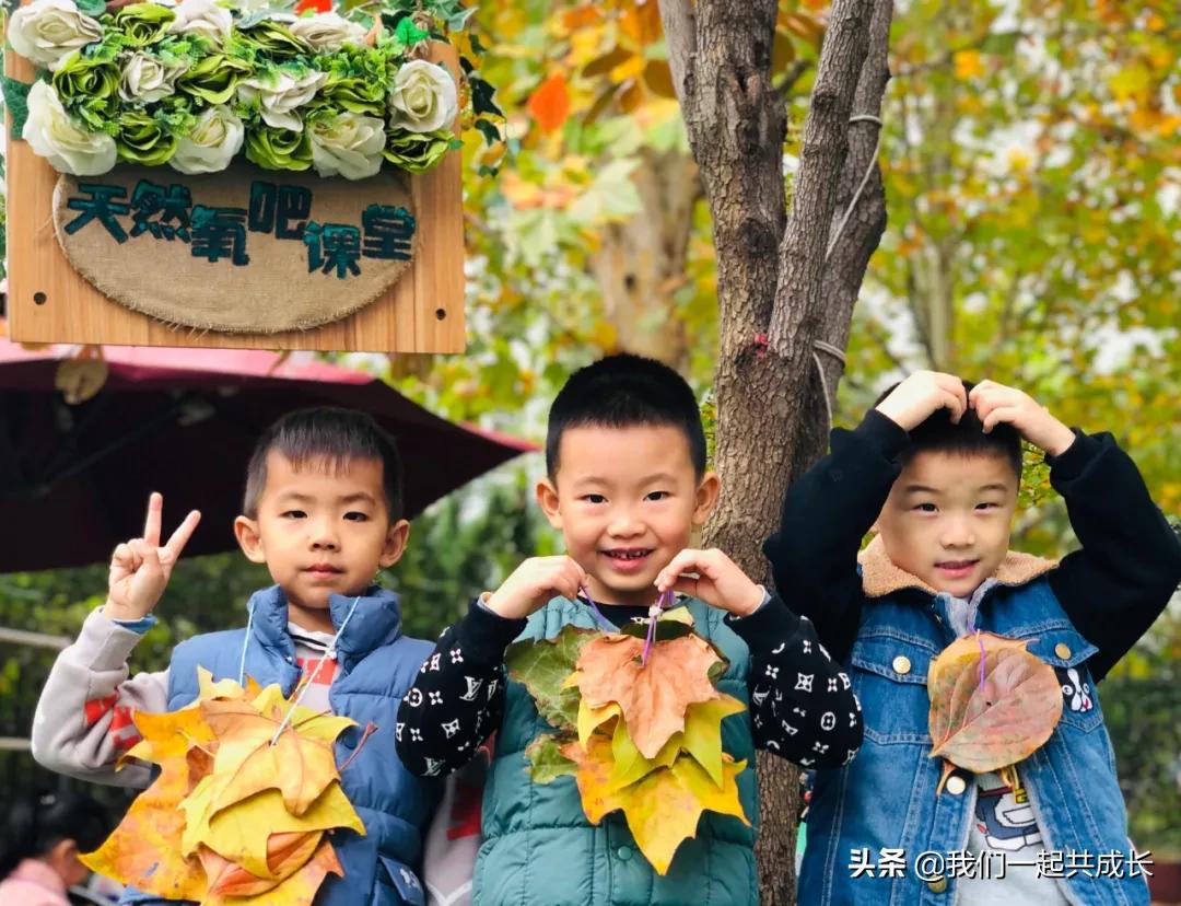 寻一抹秋色，遇一片美好：济南市启明星幼儿园的秋之美