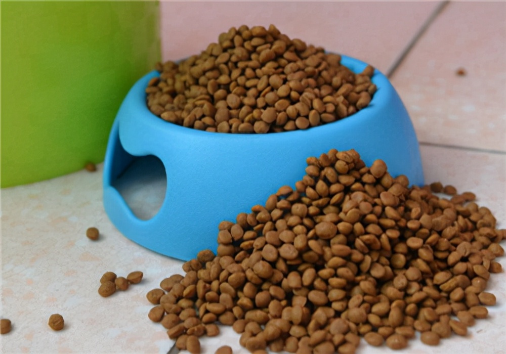 狗狗不喝水不吃饭是怎么了,正常狗狗不吃饭吃什么药