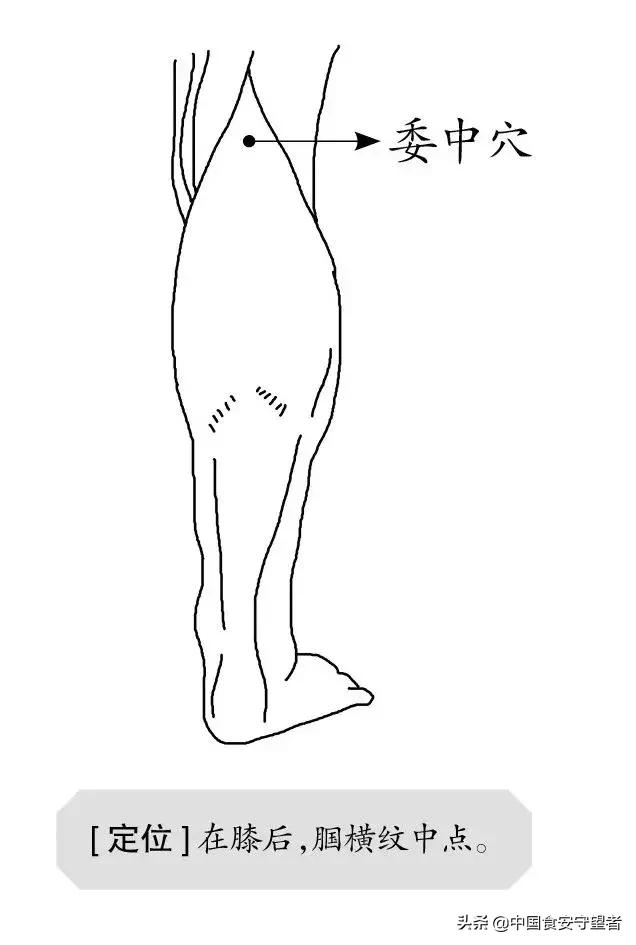 身体5个部位最怕湿气,身体各器官最怕的东西列表