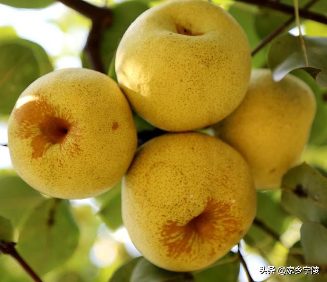 睢宁电商一年营业额有多少亿,商丘县电商发展现状