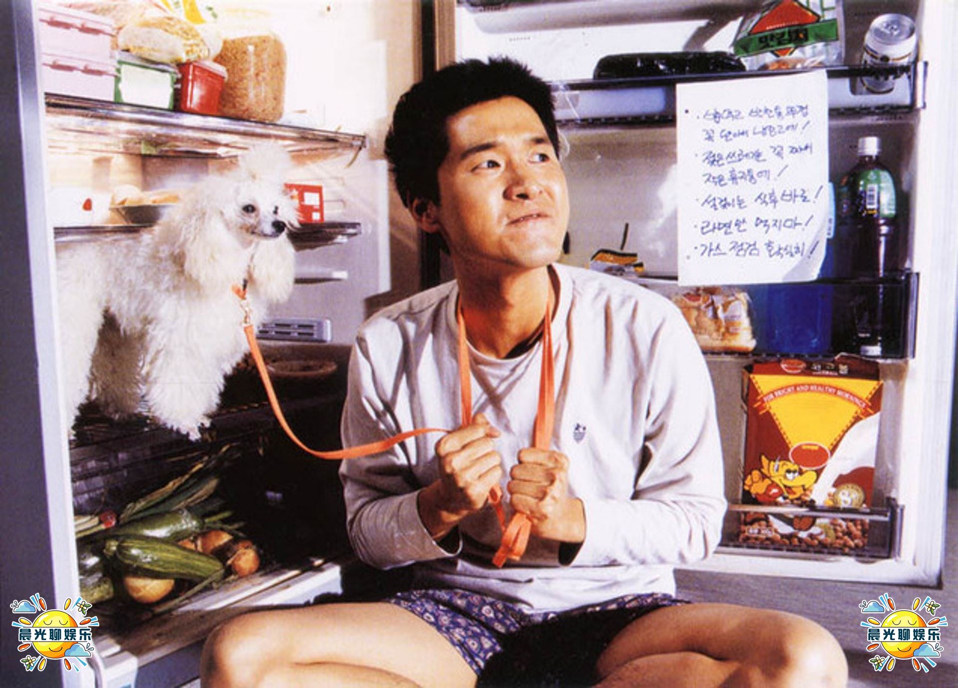 韩国奥斯卡电影寄生虫,盘点2024年以前的韩国电影