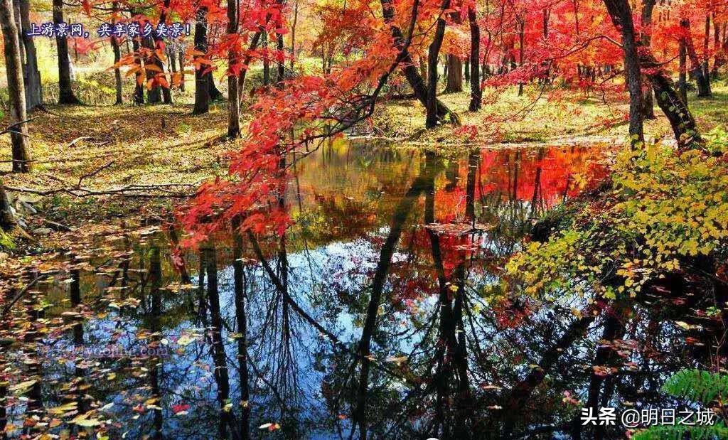 长春最值得去吃和玩的地方,长春游玩必去的地方十一