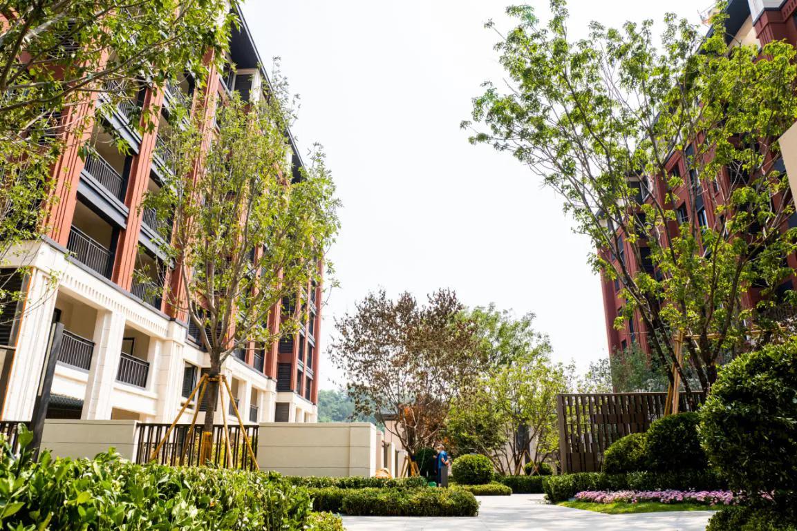 甘西红盘,甘西红盘最新信息