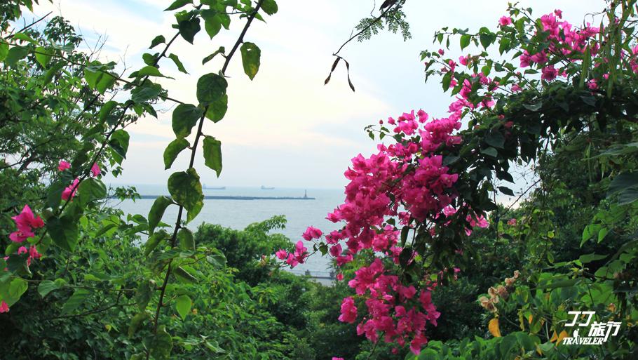 媲美维多利亚港的天然良港高雄港,曾为世界第三大港口