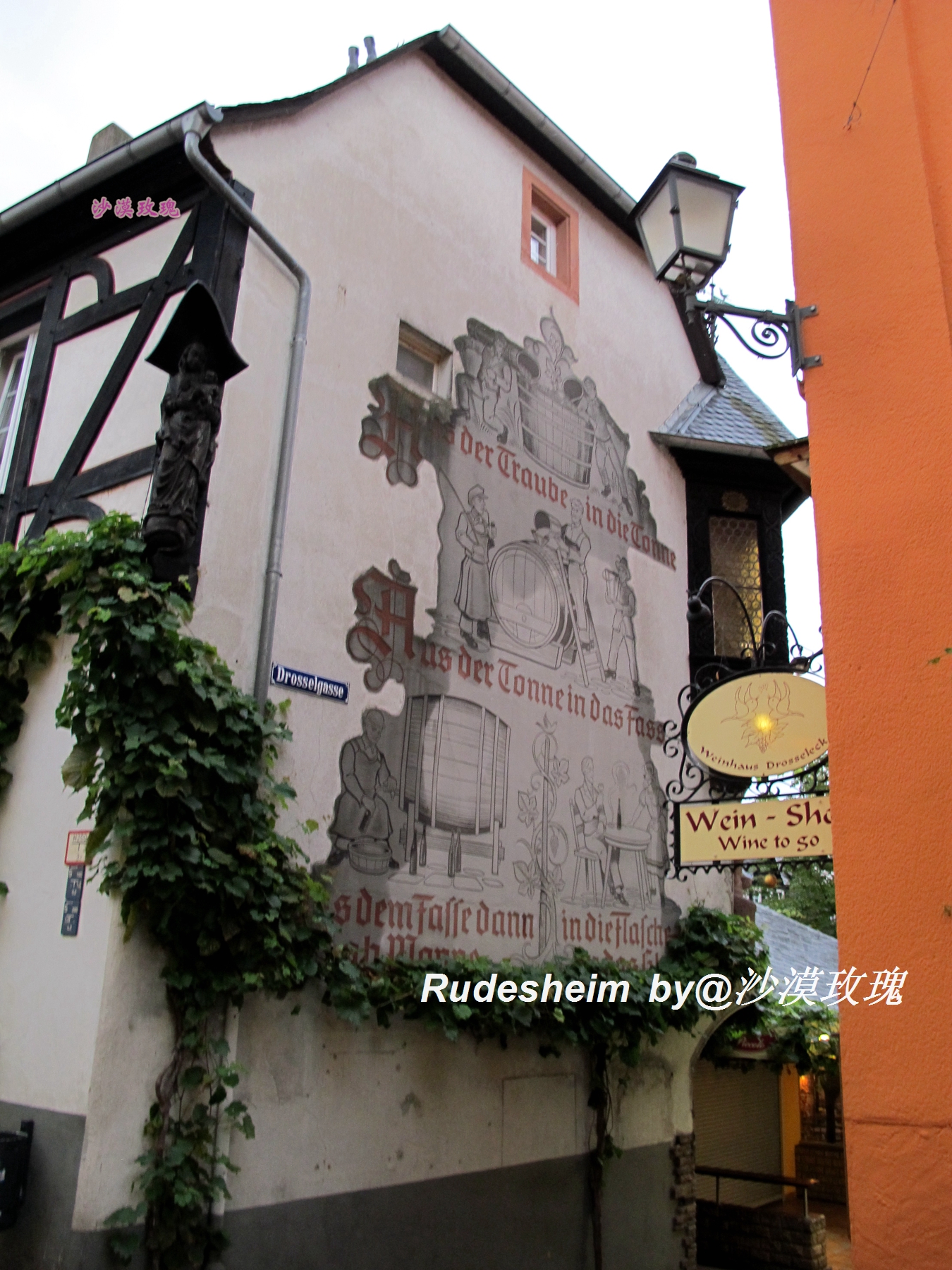 莱茵河葡萄酒小镇,莱茵河畔的葡萄小镇