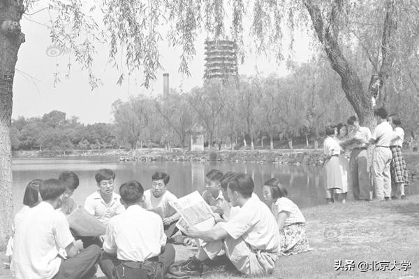 为什么要博雅教育,博雅教学和博雅教育的区别