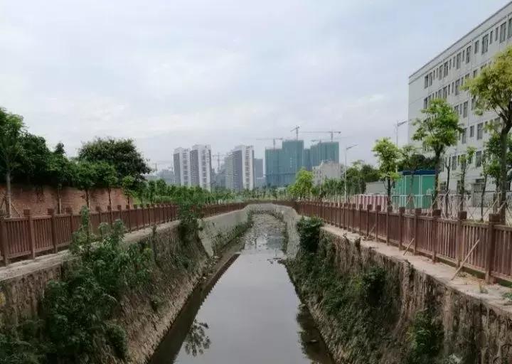 光明这些河流又有新变化,多个好消息密集来报~