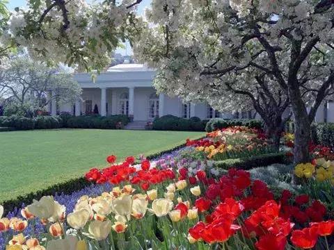 云鬓并不珠翠|BunnyMellon,一个世纪的美国风华