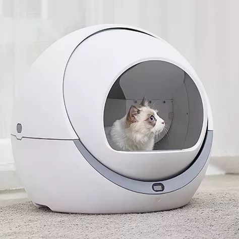 盘点致命的养猫玩具,猫咪新出网红用品