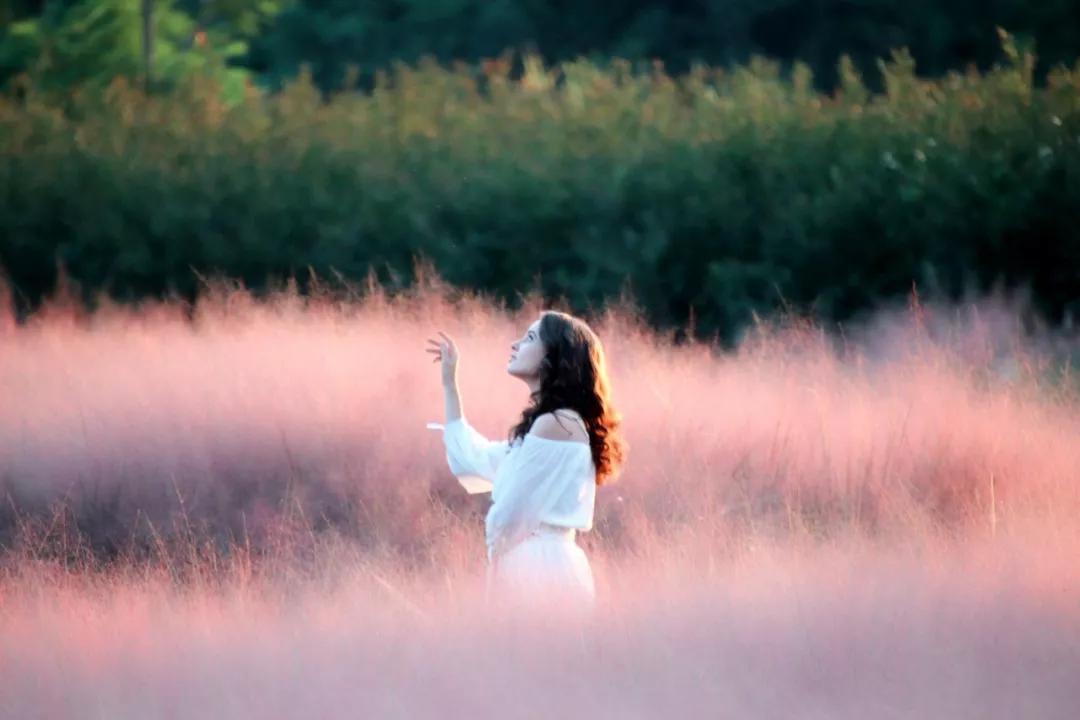 广州公园大片花海,广州哪个地铁站附近有花海