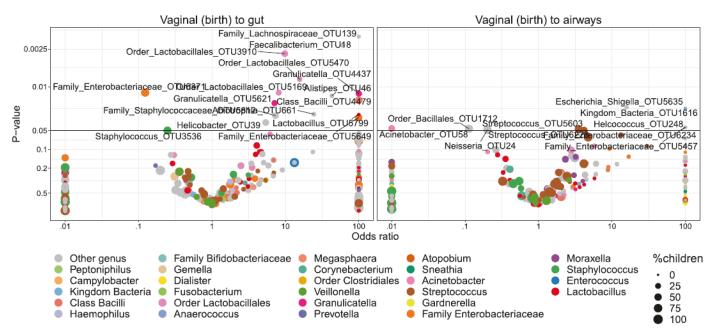 妊娠期母体呼吸系统变化,母体激素调节